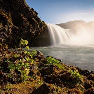 Tractor Rental Service